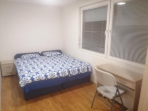 Newly two bedroom apartments